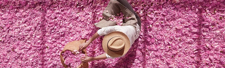 Dior Expertise