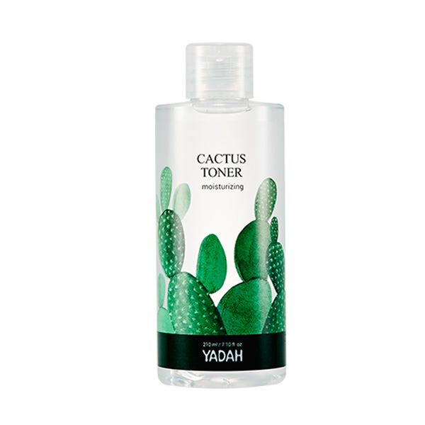Tónico Cactus