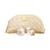 Cofre BNF Wrinkle Cream Eye