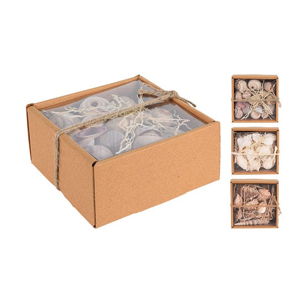 Conchas Decorativas