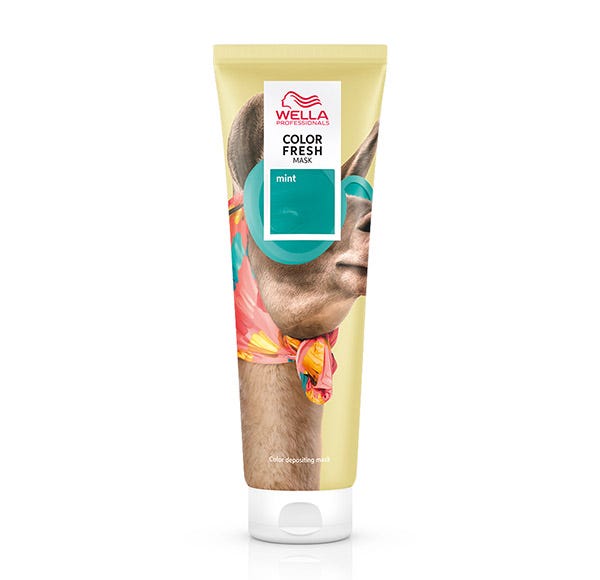 Color Fresh Mask Mint