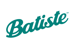 Logo BATISTE